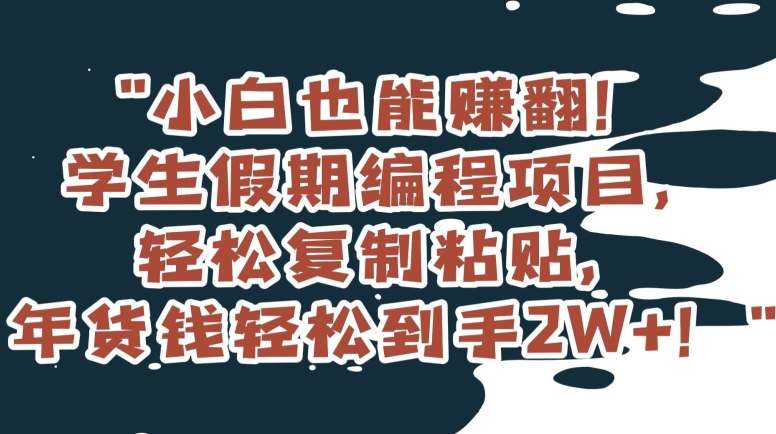 小白也能赚翻！学生假期编程项目，轻松复制粘贴，年货钱轻松到手2W+【揭秘】副业项目课程-副业赚钱项目-副业赚钱创业-手机赚钱副业-挂机项目-鹿图社副业网-资源网-无人直播-引流秘籍-电商运营鹿图社