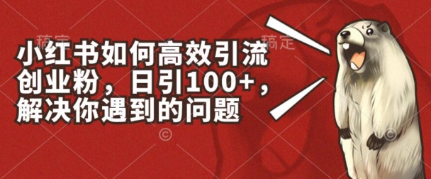 小红书如何高效引流创业粉，日引100+，解决你遇到的问题副业项目课程-副业赚钱项目-副业赚钱创业-手机赚钱副业-挂机项目-鹿图社副业网-资源网-无人直播-引流秘籍-电商运营鹿图社